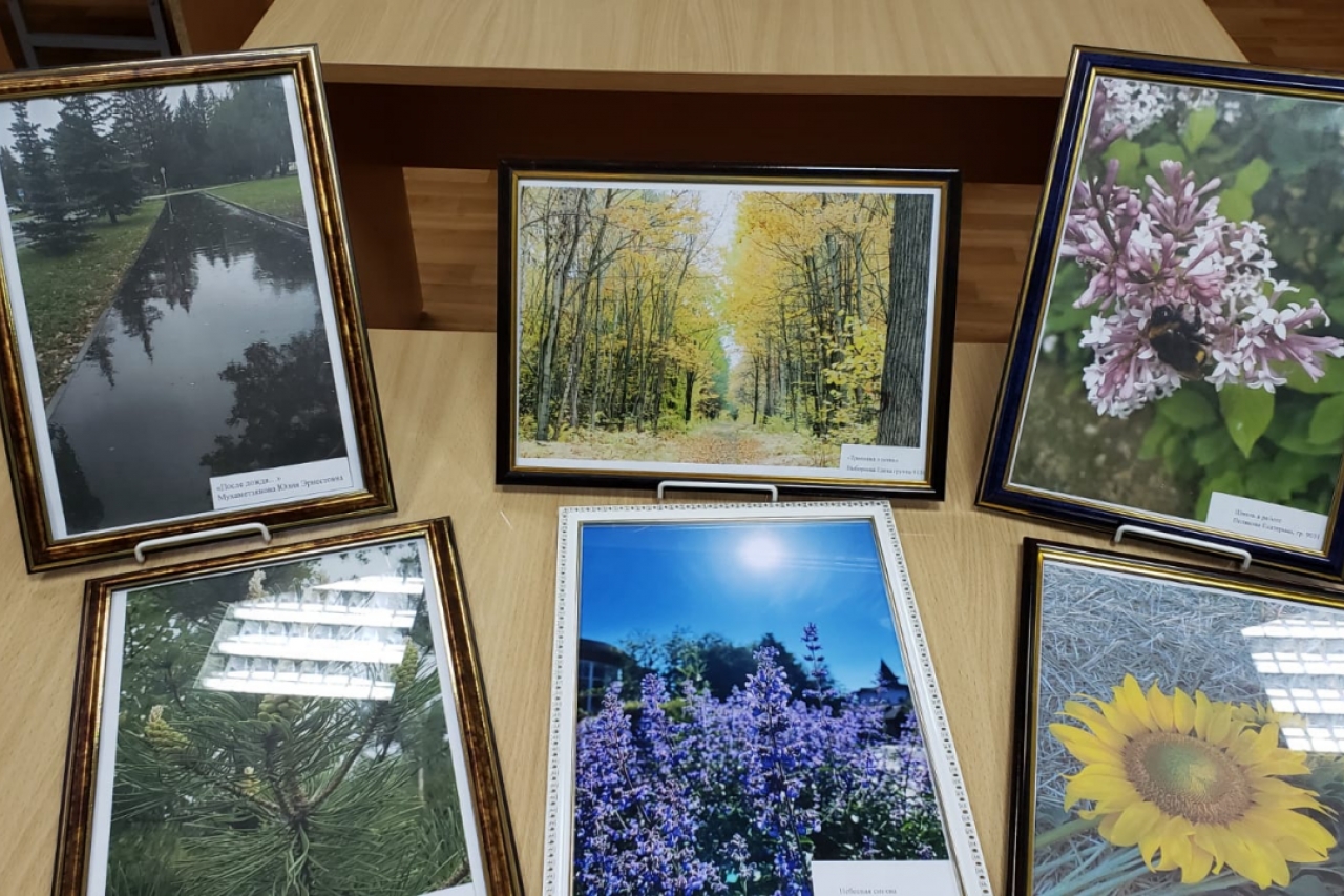 Фотовыставка