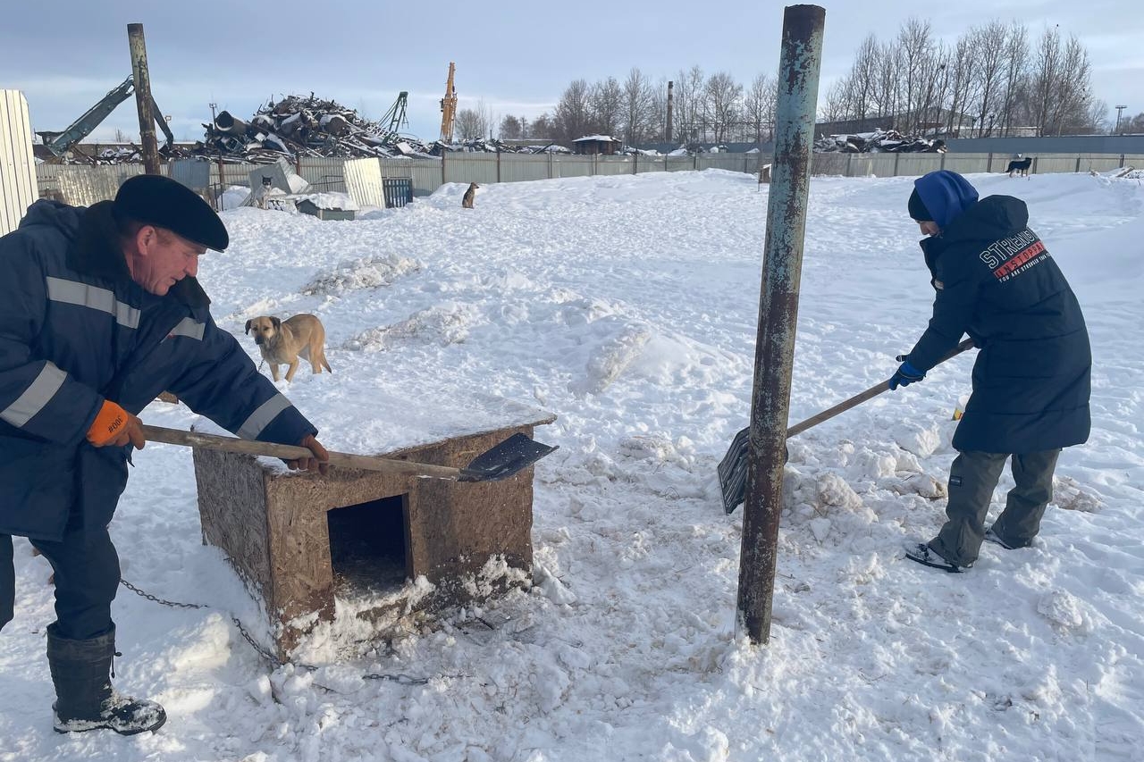 Акция «Помоги другу»